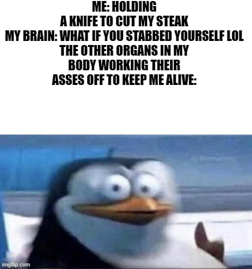 ME: HOLDING A KNIFE TO CUT MY STEAK

MY BRAIN: WHAT IF YOU STABBED YOURSELF LOL

THE OTHER ORGANS IN MY BODY WORKING THEIR ASSES OFF TO KEEP ME ALIVE: | image tagged in memes,funny,pie charts,gifs,ha ha tags go brr | made w/ Imgflip meme maker