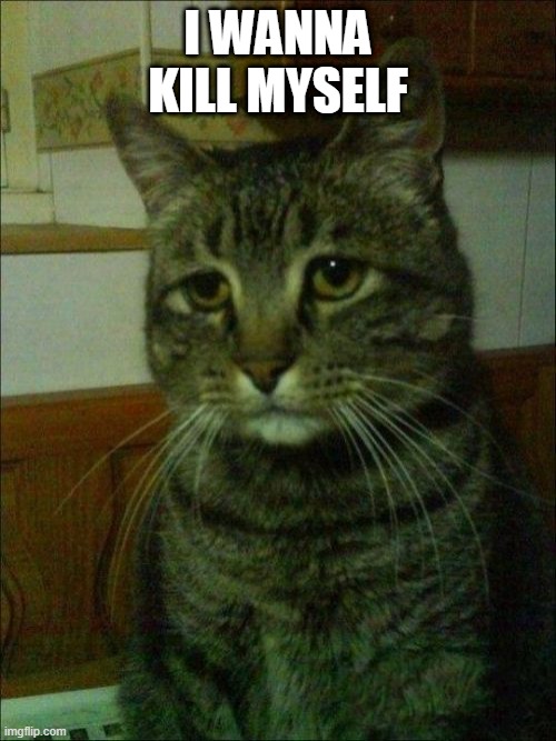 Depressed Cat Meme | I WANNA KILL MYSELF | image tagged in memes,depressed cat | made w/ Imgflip meme maker