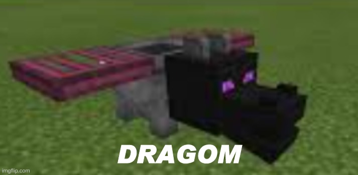 DRAGOM | made w/ Imgflip meme maker