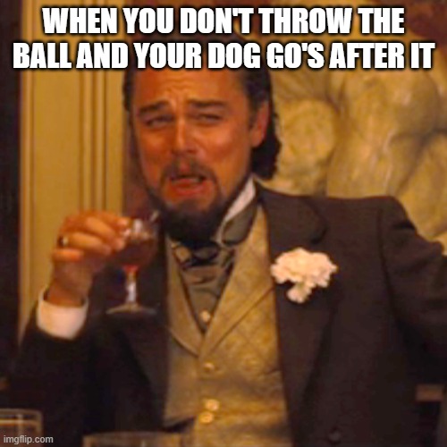 Laughing Leo | WHEN YOU DON'T THROW THE BALL AND YOUR DOG GO'S AFTER IT | image tagged in memes,laughing leo | made w/ Imgflip meme maker