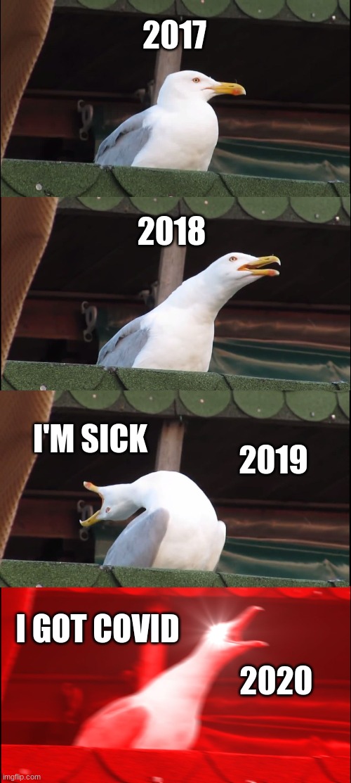 Over the years | 2017; 2018; I'M SICK; 2019; I GOT COVID; 2020 | image tagged in memes,inhaling seagull | made w/ Imgflip meme maker