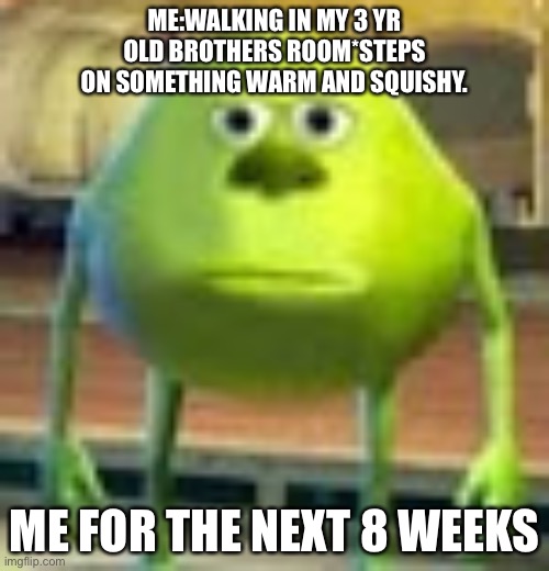 Can anyone relate | ME:WALKING IN MY 3 YR OLD BROTHERS ROOM*STEPS ON SOMETHING WARM AND SQUISHY. ME FOR THE NEXT 8 WEEKS | image tagged in sully wazowski | made w/ Imgflip meme maker