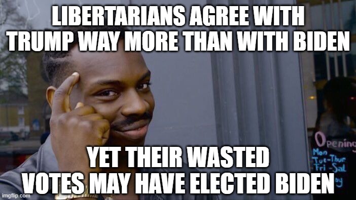 Roll Safe Think About It Meme | LIBERTARIANS AGREE WITH TRUMP WAY MORE THAN WITH BIDEN; YET THEIR WASTED VOTES MAY HAVE ELECTED BIDEN | image tagged in memes,roll safe think about it | made w/ Imgflip meme maker