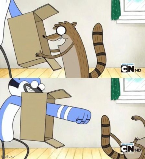 Mordecai Punches Rigby Through a Box | image tagged in mordecai punches rigby through a box | made w/ Imgflip meme maker