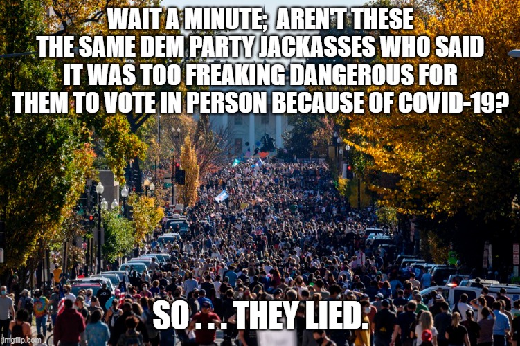 Gasp!  Lying liars lied: | WAIT A MINUTE;  AREN'T THESE THE SAME DEM PARTY JACKASSES WHO SAID IT WAS TOO FREAKING DANGEROUS FOR THEM TO VOTE IN PERSON BECAUSE OF COVID-19? SO . . . THEY LIED. | image tagged in lying liars | made w/ Imgflip meme maker