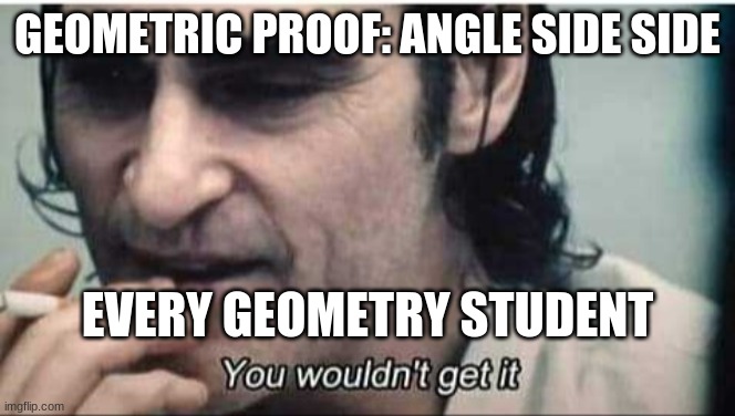 Geometry students only! | GEOMETRIC PROOF: ANGLE SIDE SIDE; EVERY GEOMETRY STUDENT | image tagged in you wouldn't get it | made w/ Imgflip meme maker