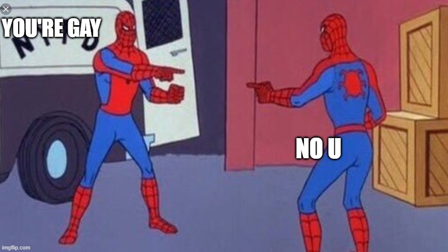 spider man meme | YOU'RE GAY; NO U | image tagged in spider man meme | made w/ Imgflip meme maker