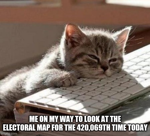 tired cat | ME ON MY WAY TO LOOK AT THE ELECTORAL MAP FOR THE 420,069TH TIME TODAY | image tagged in tired cat | made w/ Imgflip meme maker