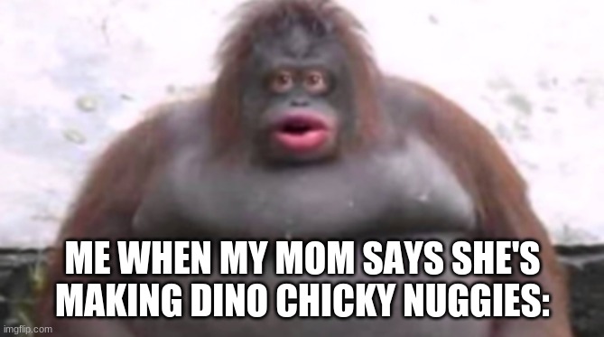 They taste so good | ME WHEN MY MOM SAYS SHE'S MAKING DINO CHICKY NUGGIES: | image tagged in monki,dino chicky nuggies,memes | made w/ Imgflip meme maker