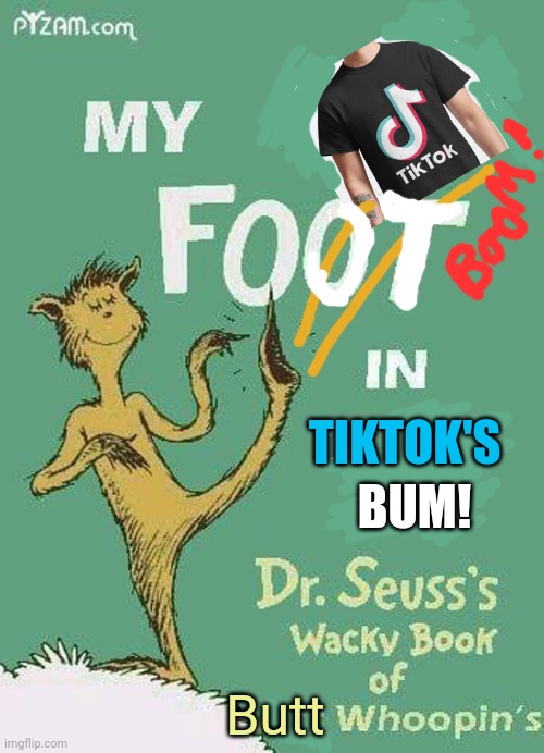 Goodbye tiktok! | BUM! TIKTOK'S; Butt | image tagged in tiktok,bad,war against tiktok,dr seuss,kicking | made w/ Imgflip meme maker