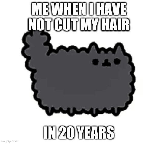 pusheen | ME WHEN I HAVE NOT CUT MY HAIR; IN 20 YEARS | image tagged in scumbag | made w/ Imgflip meme maker