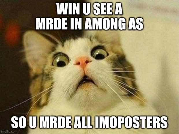 Scared Cat Meme | WIN U SEE A MRDE IN AMONG AS; SO U MRDE ALL IMOPOSTERS | image tagged in memes,scared cat | made w/ Imgflip meme maker