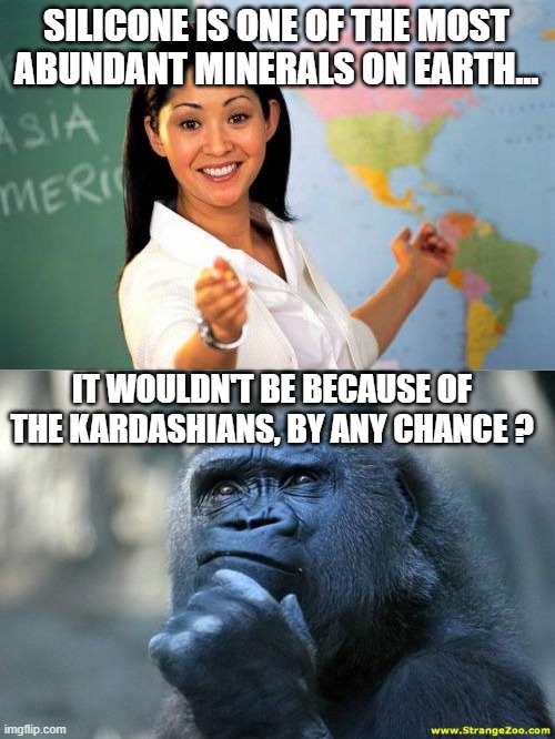 BUUUUUUUUUUUUUUUUUUUUUUUUURN ! | SILICONE IS ONE OF THE MOST ABUNDANT MINERALS ON EARTH... IT WOULDN'T BE BECAUSE OF THE KARDASHIANS, BY ANY CHANCE ? | image tagged in memes,unhelpful high school teacher,silicone,the thinking gorilla,kardashians | made w/ Imgflip meme maker