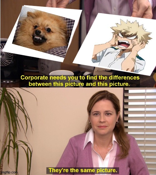 Only BNHA Fans Will Understand | image tagged in memes,they're the same picture | made w/ Imgflip meme maker