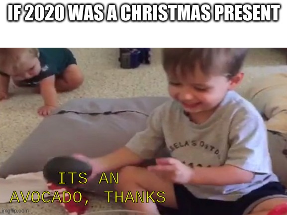If 2020 was a Christmas  present | IF 2020 WAS A CHRISTMAS PRESENT; ITS AN AVOCADO, THANKS | image tagged in memes,avocado,2020,stop reading the tags,or,barney will eat all of your delectable biscuits | made w/ Imgflip meme maker