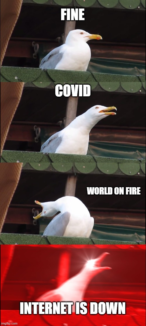 Internet | FINE; COVID; WORLD ON FIRE; INTERNET IS DOWN | image tagged in memes,inhaling seagull | made w/ Imgflip meme maker