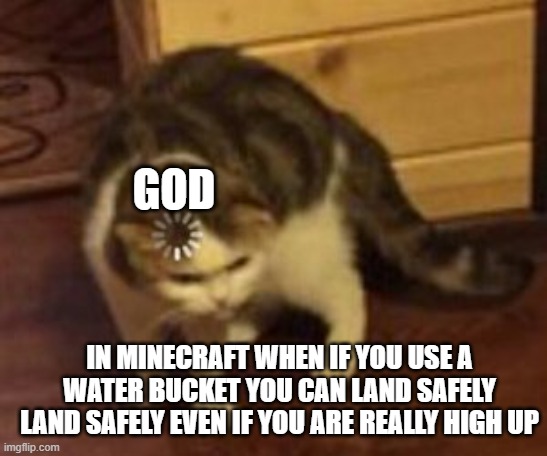 wait.... | GOD; IN MINECRAFT WHEN IF YOU USE A WATER BUCKET YOU CAN LAND SAFELY LAND SAFELY EVEN IF YOU ARE REALLY HIGH UP | image tagged in loading cat | made w/ Imgflip meme maker