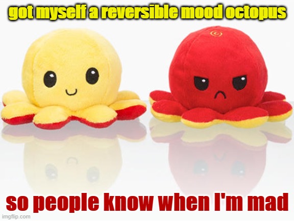 Get yourself a reversible current mood octopus. | got myself a reversible mood octopus; so people know when I'm mad | image tagged in reversible octopus,mad,octopus,stuffed animal,current mood,mood | made w/ Imgflip meme maker