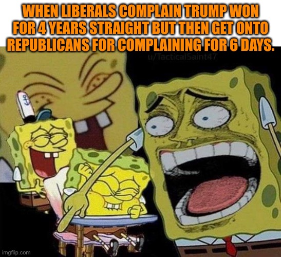 Spongebob laughing | WHEN LIBERALS COMPLAIN TRUMP WON FOR 4 YEARS STRAIGHT BUT THEN GET ONTO REPUBLICANS FOR COMPLAINING FOR 6 DAYS. | image tagged in spongebob laughing | made w/ Imgflip meme maker