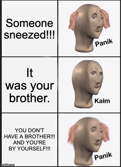 Break In | Someone sneezed!!! It was your brother. YOU DON'T HAVE A BROTHER!!! AND YOU'RE BY YOURSELF!!! | image tagged in memes,panik kalm panik | made w/ Imgflip meme maker