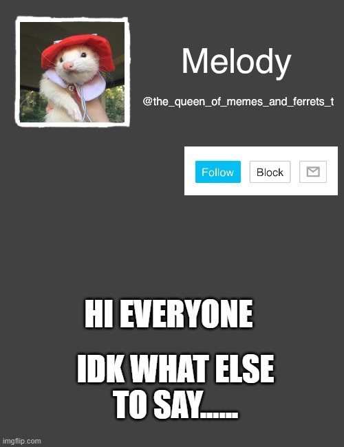 my new template | HI EVERYONE; IDK WHAT ELSE TO SAY...... | image tagged in my new template | made w/ Imgflip meme maker