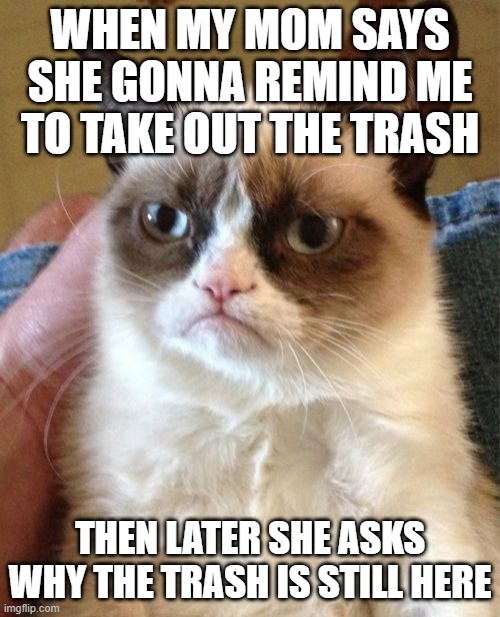 parenting | WHEN MY MOM SAYS SHE GONNA REMIND ME TO TAKE OUT THE TRASH; THEN LATER SHE ASKS WHY THE TRASH IS STILL HERE | image tagged in memes,grumpy cat | made w/ Imgflip meme maker