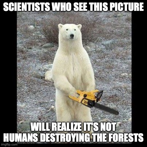 Chainsaw Bear | SCIENTISTS WHO SEE THIS PICTURE; WILL REALIZE IT'S NOT HUMANS DESTROYING THE FORESTS | image tagged in memes,chainsaw bear | made w/ Imgflip meme maker