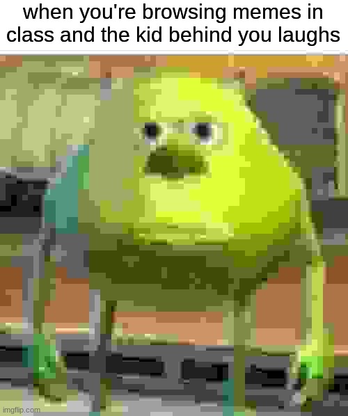 bru | when you're browsing memes in class and the kid behind you laughs | image tagged in memes,sully wazowski,school | made w/ Imgflip meme maker