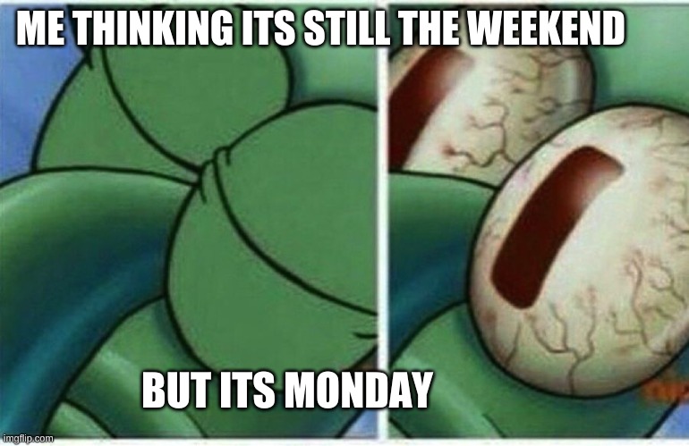 Squidward | ME THINKING ITS STILL THE WEEKEND; BUT ITS MONDAY | image tagged in squidward | made w/ Imgflip meme maker