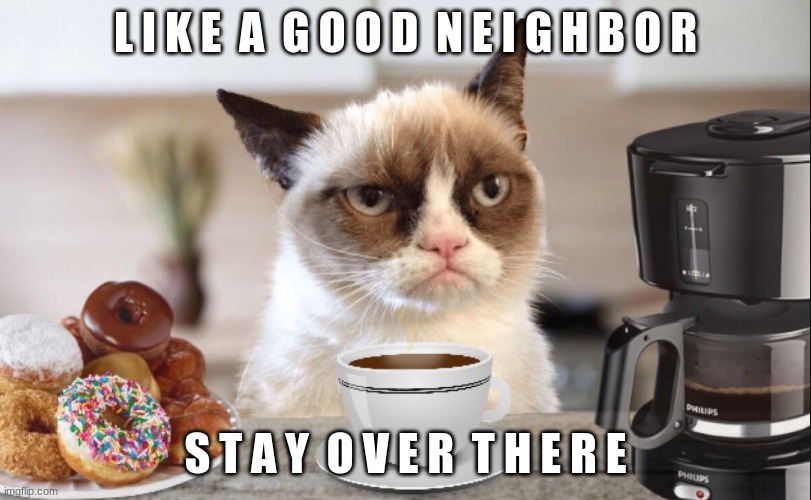 You will only understand this if you remember the statefarm add | L I K E  A  G O O D  N E I G H B O R; S T A Y  O V E R  T H E R E | image tagged in grumpy cat cafe | made w/ Imgflip meme maker