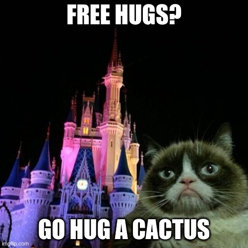 hug a cactus | FREE HUGS? GO HUG A CACTUS | image tagged in grumpy cat disney | made w/ Imgflip meme maker