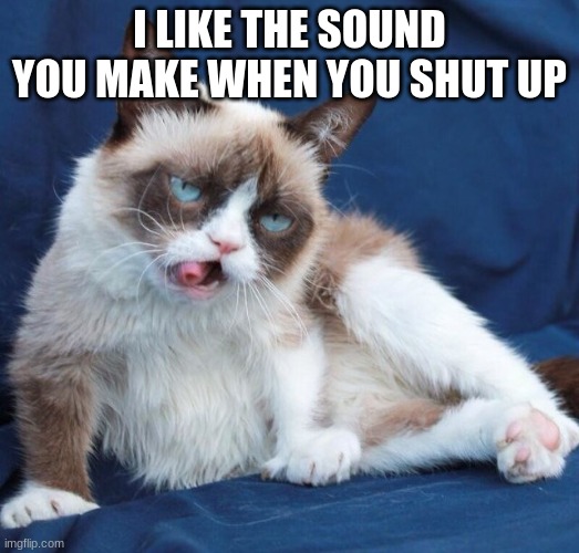 Shut up in favor of our beloved grumpy cat | I LIKE THE SOUND YOU MAKE WHEN YOU SHUT UP | image tagged in grumpy cat drunk | made w/ Imgflip meme maker