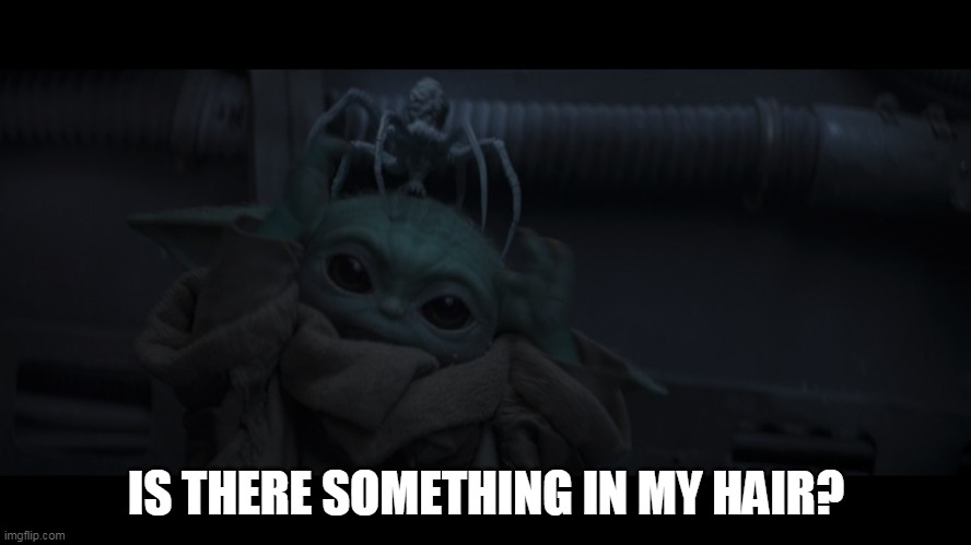 Something in my hair? | IS THERE SOMETHING IN MY HAIR? | image tagged in star wars,the mandalorian,baby yoda | made w/ Imgflip meme maker