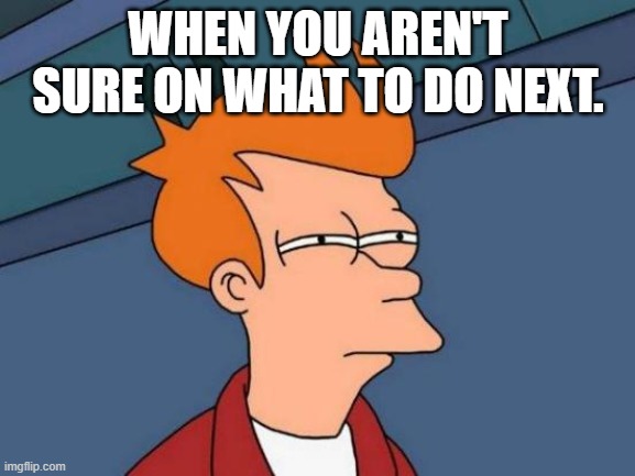 Futurama Fry | WHEN YOU AREN'T SURE ON WHAT TO DO NEXT. | image tagged in memes,futurama fry | made w/ Imgflip meme maker