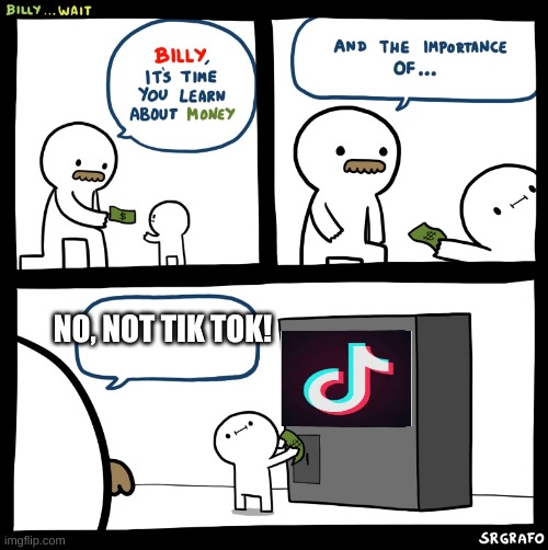 JUST BAN TIK TOK! | NO, NOT TIK TOK! | image tagged in billy no | made w/ Imgflip meme maker