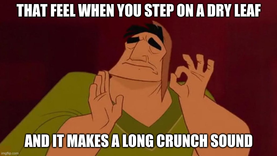 perfect leaf crunch | THAT FEEL WHEN YOU STEP ON A DRY LEAF; AND IT MAKES A LONG CRUNCH SOUND | image tagged in pacha perfect | made w/ Imgflip meme maker