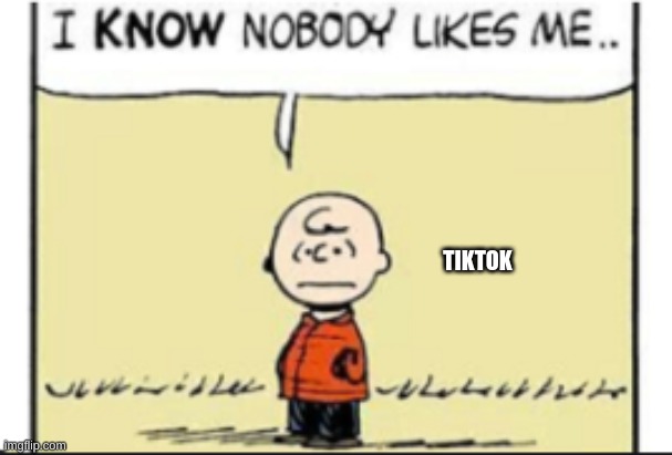 Charlie Brown | TIKTOK | image tagged in charlie brown | made w/ Imgflip meme maker