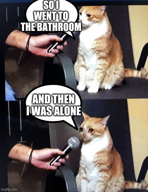 Cat interview | SO I WENT TO THE BATHROOM; AND THEN I WAS ALONE | image tagged in cat interview crying | made w/ Imgflip meme maker