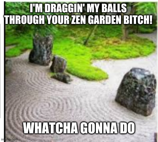 I'M DRAGGIN' MY BALLS THROUGH YOUR ZEN GARDEN BITCH! WHATCHA GONNA DO | image tagged in white background | made w/ Imgflip meme maker