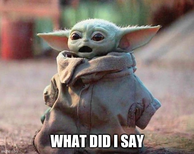Surprised Baby Yoda | WHAT DID I SAY | image tagged in surprised baby yoda | made w/ Imgflip meme maker