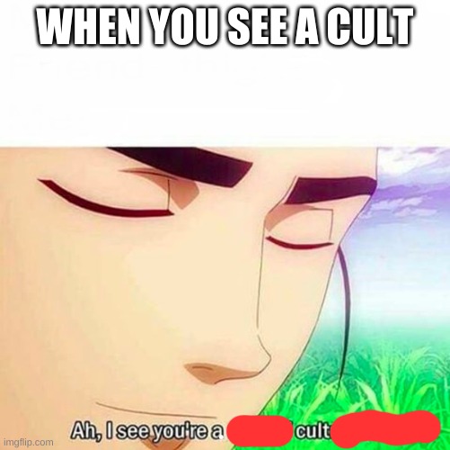 Ah,I see you are a man of culture as well | WHEN YOU SEE A CULT | image tagged in ah i see you are a man of culture as well | made w/ Imgflip meme maker