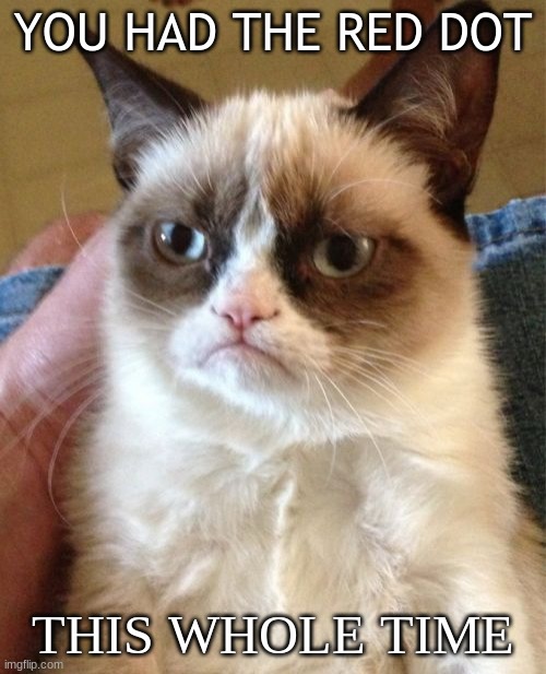 Grumpy cat being Grumpy cat | YOU HAD THE RED DOT; THIS WHOLE TIME | image tagged in memes,grumpy cat | made w/ Imgflip meme maker