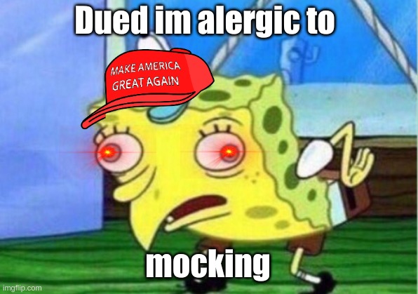 Mocking Spongebob Meme | Dued im alergic to; mocking | image tagged in memes,mocking spongebob | made w/ Imgflip meme maker