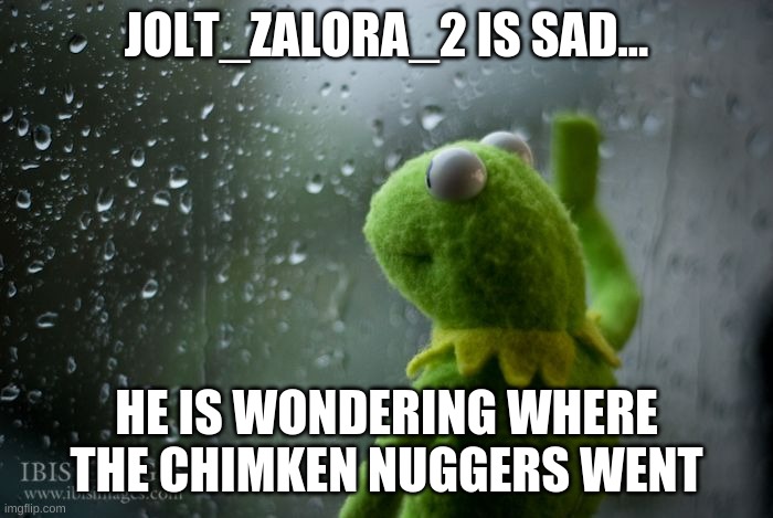 I can't find my chimken nuggers!!! | JOLT_ZALORA_2 IS SAD... HE IS WONDERING WHERE THE CHIMKEN NUGGERS WENT | image tagged in kermit window | made w/ Imgflip meme maker