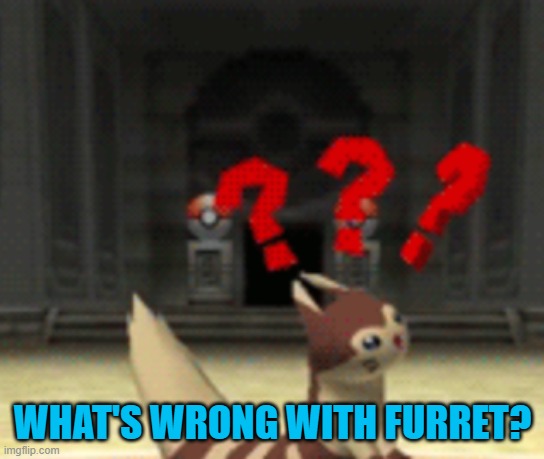 Confused furret | WHAT'S WRONG WITH FURRET? | image tagged in confused furret | made w/ Imgflip meme maker