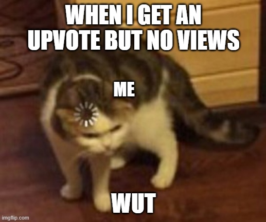.......................... | WHEN I GET AN UPVOTE BUT NO VIEWS; ME; WUT | image tagged in loading cat,memes | made w/ Imgflip meme maker