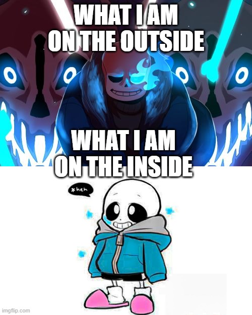 anyone like this? | WHAT I AM ON THE OUTSIDE; WHAT I AM ON THE INSIDE | image tagged in sans undertale | made w/ Imgflip meme maker