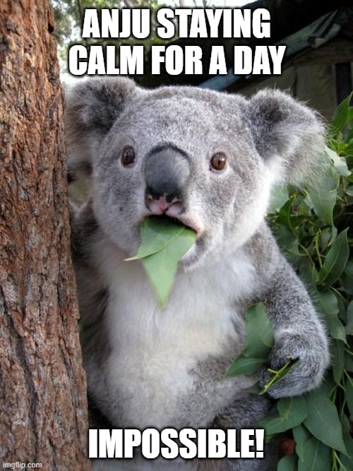 me | ANJU STAYING CALM FOR A DAY; IMPOSSIBLE! | image tagged in memes,surprised koala | made w/ Imgflip meme maker