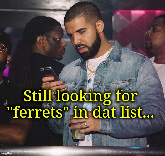 Still looking for "ferrets" in dat list... | made w/ Imgflip meme maker