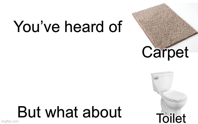 How popular can this get? | You’ve heard of; Carpet; But what about; Toilet | image tagged in toilet,carpet,funny | made w/ Imgflip meme maker
